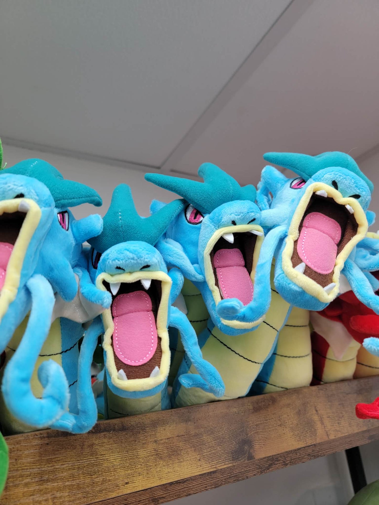 Gyarados/Shining Gyarados