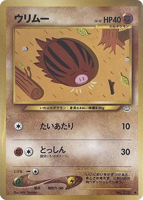 Swinub