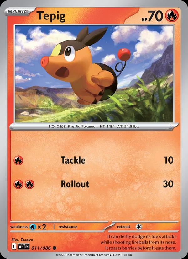Tepig (Master Ball Pattern)