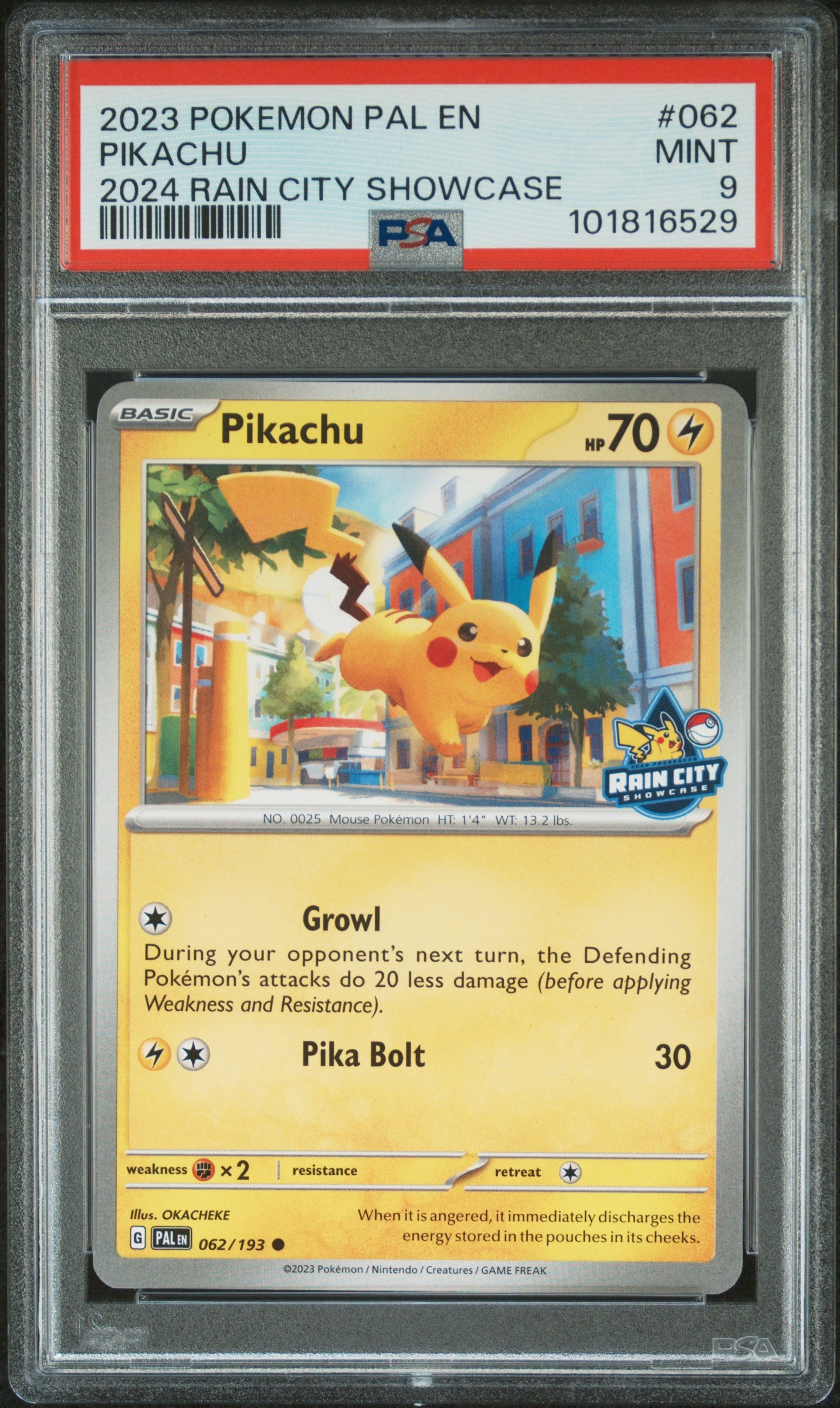 2023 Pokemon Pal En-Paldea Evolved #062 Pikachu 2024 Rain City Showcase PSA 9